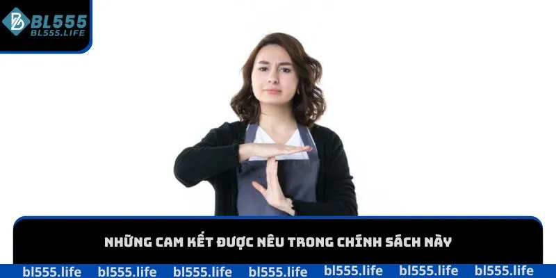 Những cam kết được nêu trong chính sách này
