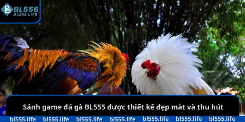Sảnh game đá gà BL555 được thiết kế đẹp mắt và thu hút