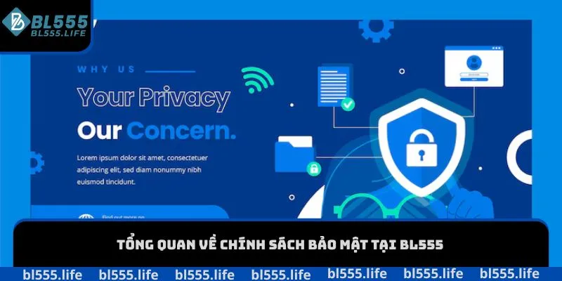 Tổng quan về chính sách bảo mật tại BL555